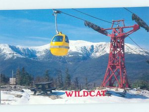 Chrome SKIING SCENE Pinkham Notch - Gorham & White Mountains NH AG5007@