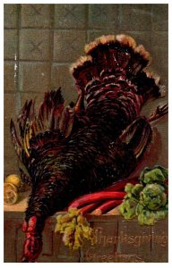 Thanksgiving  Turkey Slaughtered