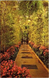 Longwood Gardens Kennett Square PA Pennsylvania Postcard VTG UNP Vintage Unused 
