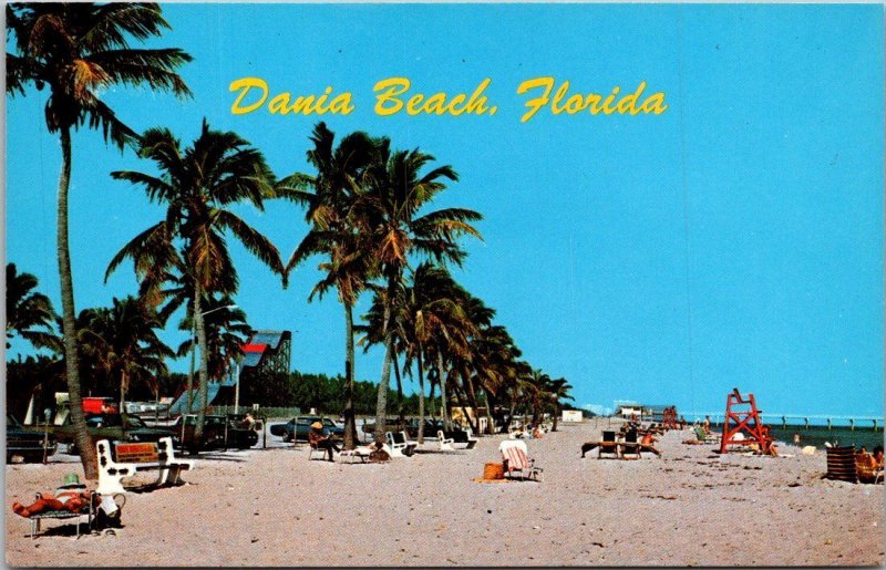 Florida Dania Beach Beach Scene