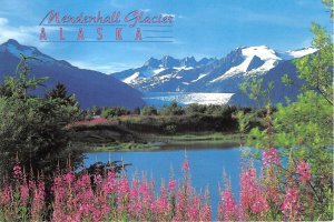 US8 USA Alaska Mendenhall glacier