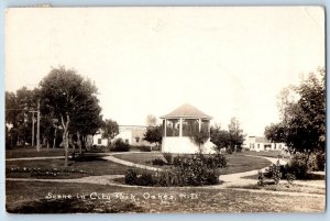 Oakes North Dakota ND Postcard RPPC Photo Scene In City Park Pavilion 1920