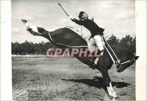 Postcard Modern Saumur Cavalry School croupade Army