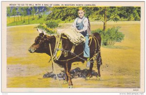 Little boy on a cow, Ready to go to Mill with a bag of corn in Wesern North C...