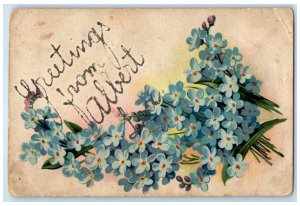 c1910 Greetings From Albert Lea Minnesota MN Embossed Vintage Antique Postcard