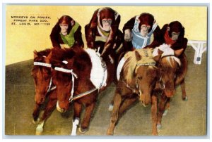 c1940 Monkeys Ponies Forest Park Zoo Zoological St. Louis Missouri MO Postcard