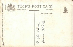 Tuck Ireland Erin's Isle Handsome Irish Man St Patrick's Day c1910 Postcard
