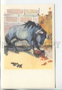 465230 USSR 1969 year Stroganova Alekseev Moscow Zoo bull got angry postcard