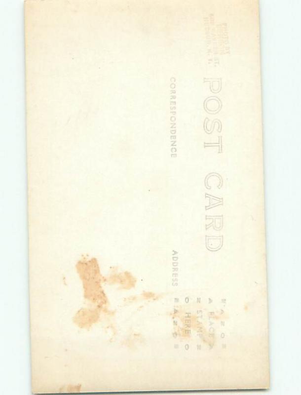 Old rppc NATURE SCENE Great Postcard AB0739