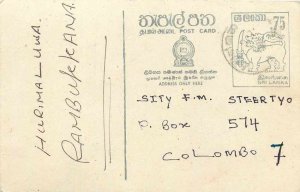 Entier Postal Stationery Postal Sri Lanka Ceylon Lion