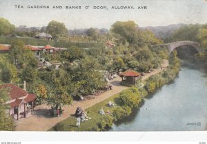 Tea Gardens & Banks O' Doon , AYR , Scotland , 00-10s