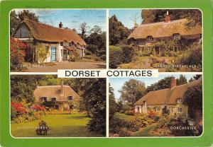 BR90318 dorset cottages dorchester centre abbas  uk