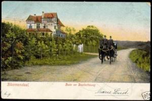 netherlands, BLOEMENDAAL, Duin en Daalscheweg 1904 Cart