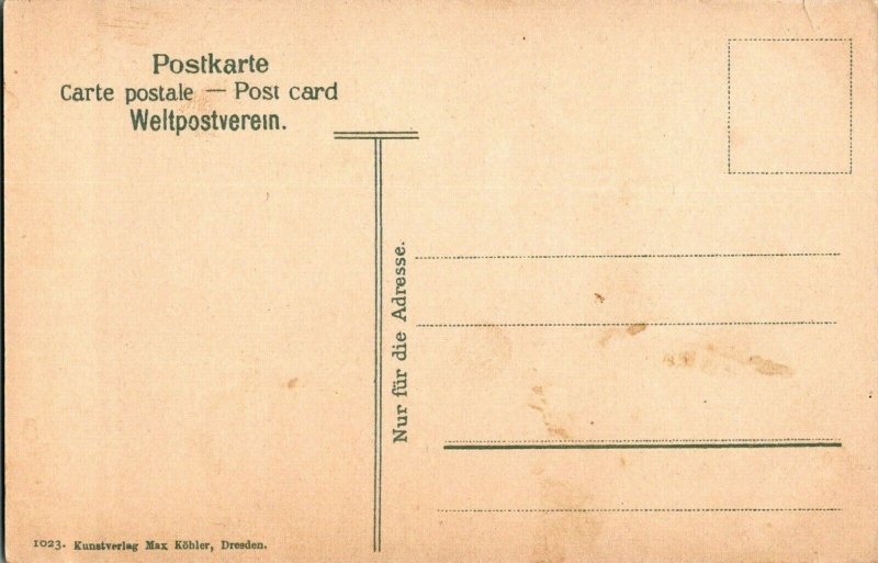 Loschwitz Dresden Germany elevated bridge town view birdeye early postcard vtg