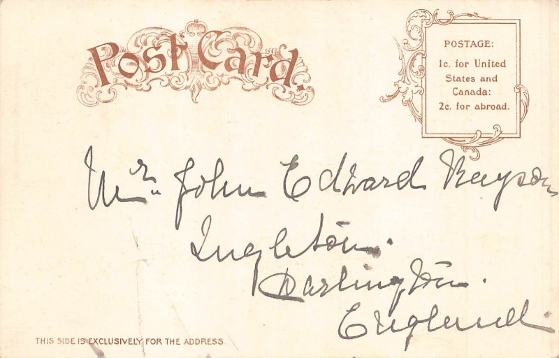 New Year Greetings Humanized Polar Bears Dancing in Circle postcard  B925