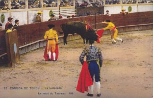 Bull Fight Corrida De Toros La Estocada