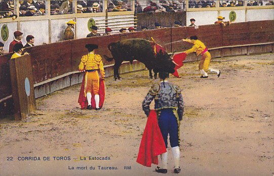 Bull Fight Corrida De Toros La Estocada