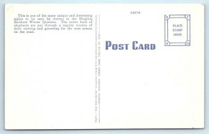 SARASOTA, FL  Winter Quarters Ringling Brothers Circus ELEPHANT MANICURE c1940s