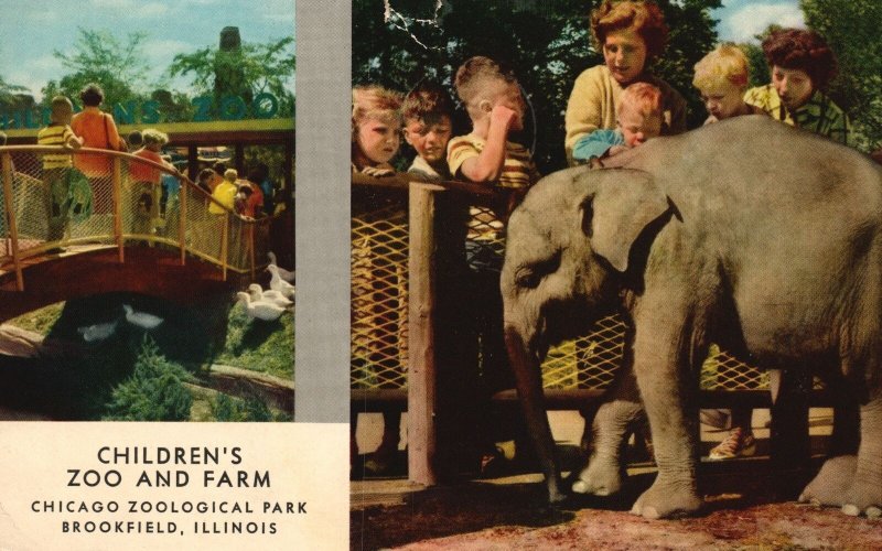 Vintage Postcard 1954 New Zoo At Brookfield Children's Zoo And Farm Illinois IL