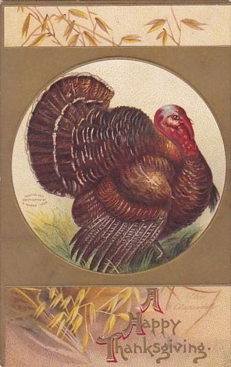 Happy Thanksgiving With Turkey Clapsaddle 1909