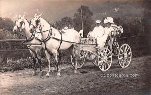 Horse and Carriage Ellenville NY Unused