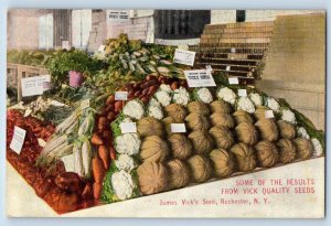 Rochester New York NY Postcard James Vick's Sons Quality Seeds 1910 Antique