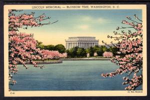 Blossom Time,Lincoln Memorial,Washington,DC