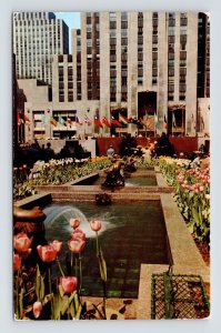 Channel Gardens Rockefeller Center United Nations Flags New York City Postcard 