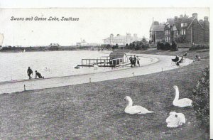 Hampshire Postcard - Swans and Canoe Lake - Southsea - Ref 342A