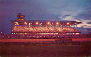 Colorpicture Ocean City Maryland Raceway Night Horses Tingle Postcard 21-1854