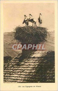 Old Postcard The Storks in Alsace