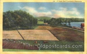 Cranberries Farm Farming, Farm, Farmer, Postcard Postcards Cape Cod, Massschu...