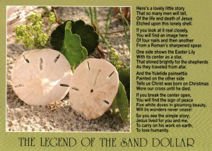 The Legend of the Sand Dollar BIN