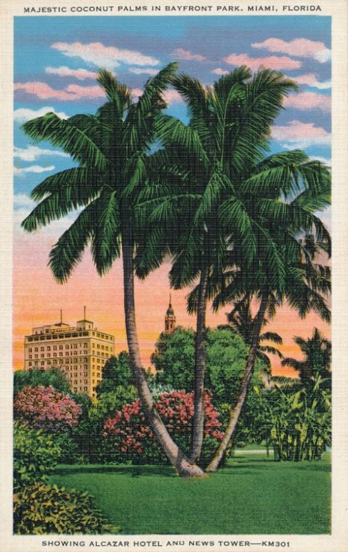 Miami FL Florida Coconut Palms in Bayfront Park - Showing Alcazar Hotel - Linen