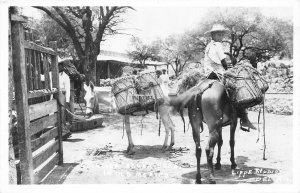 H71/ Foreign Postcard Villa Acuna Mexico RPPC c1940s Lippe Boy Mule 97