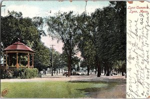 Postcard PARK SCENE Lynn Massachusetts MA AI2990