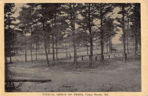 Camp Meade Maryland Group Of Trees Antique Postcard K76695