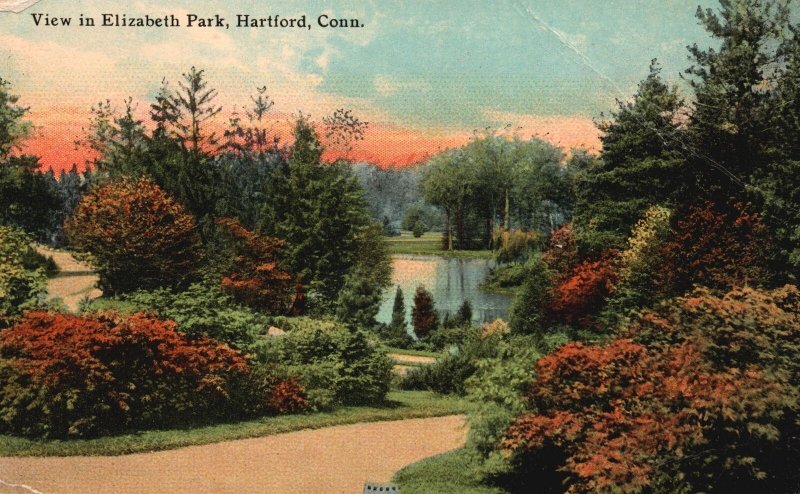 Vintage Postcard 1911 Flower Garden View In Elizabeth Park Hartford Connecticut