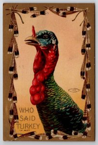 Thanksgiving Greetings Who Said Turkey Feather Border Postcard K29