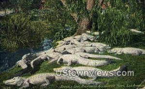 California Alligator Farm - Los Angeles  