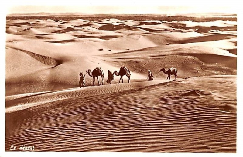 The Desert, Syria , Syrie Turquie, Postale, Universelle, Carte Unused 