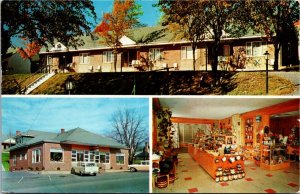 Postcard VA Winchester Green Lantern Motel Restaurant & Gift Shop 1958 S79