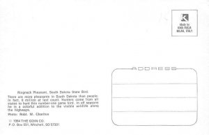 Ringneck Pheasant South Dakota State Bird