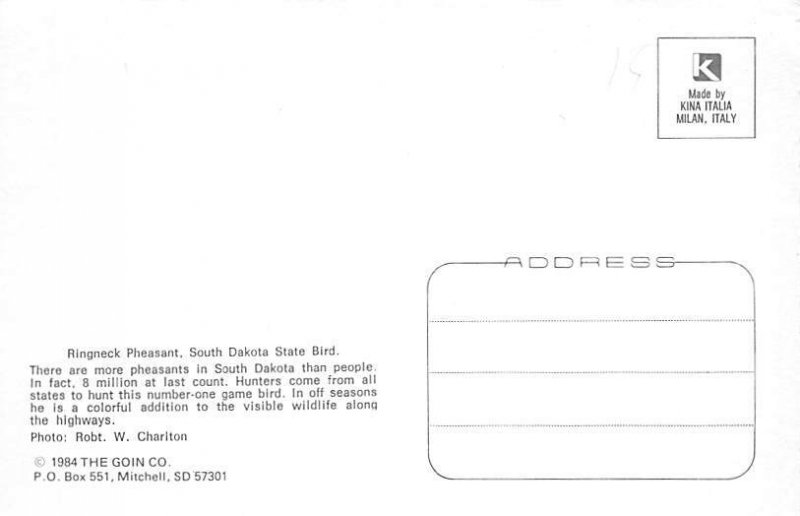 Ringneck Pheasant South Dakota State Bird