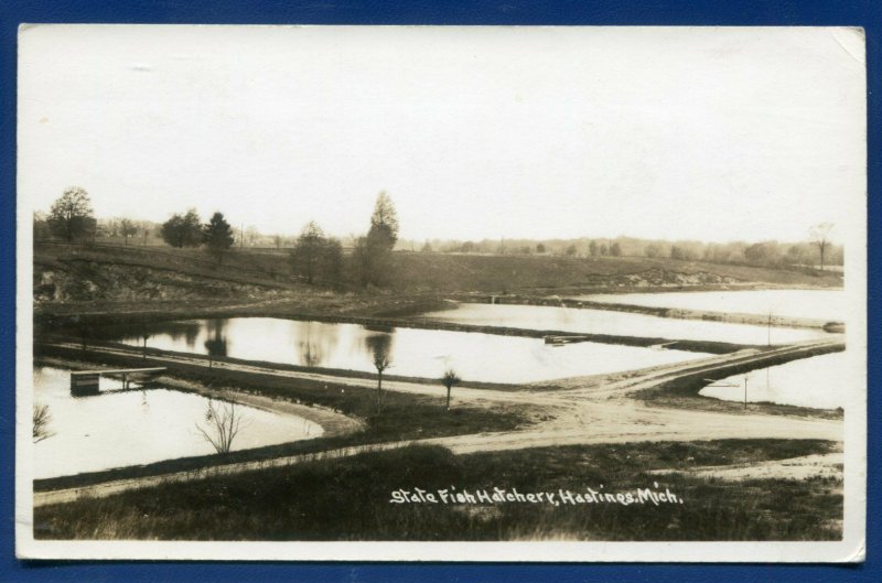 Hastings Michigan mi State Fish Hatchery real photo postcard RPPC