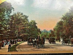 Postcard 1909 Hand Tinted View of Driving in Central Park, NY.    W9