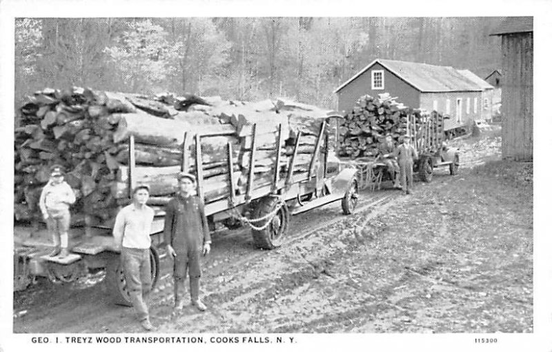 Transportation of Wood Geo I Treyz - Cooks Falls, New York NY  