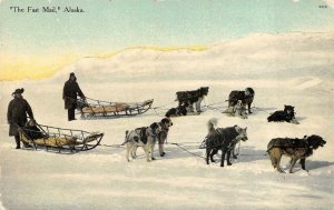 THE FAST MAIL DOG SLED TEAMS ALASKA POSTCARD (c. 1910)