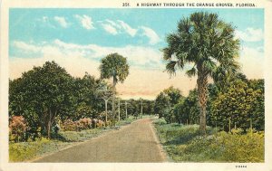 Postcard Florida Orange Groves Highway agriculture Asheville Teich 23-10284