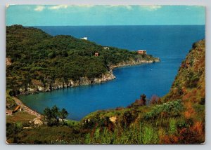 Bay of S. Montano Lacco Ameno ISCHIA Italy 4x6 VINTAGE Postcard 0137